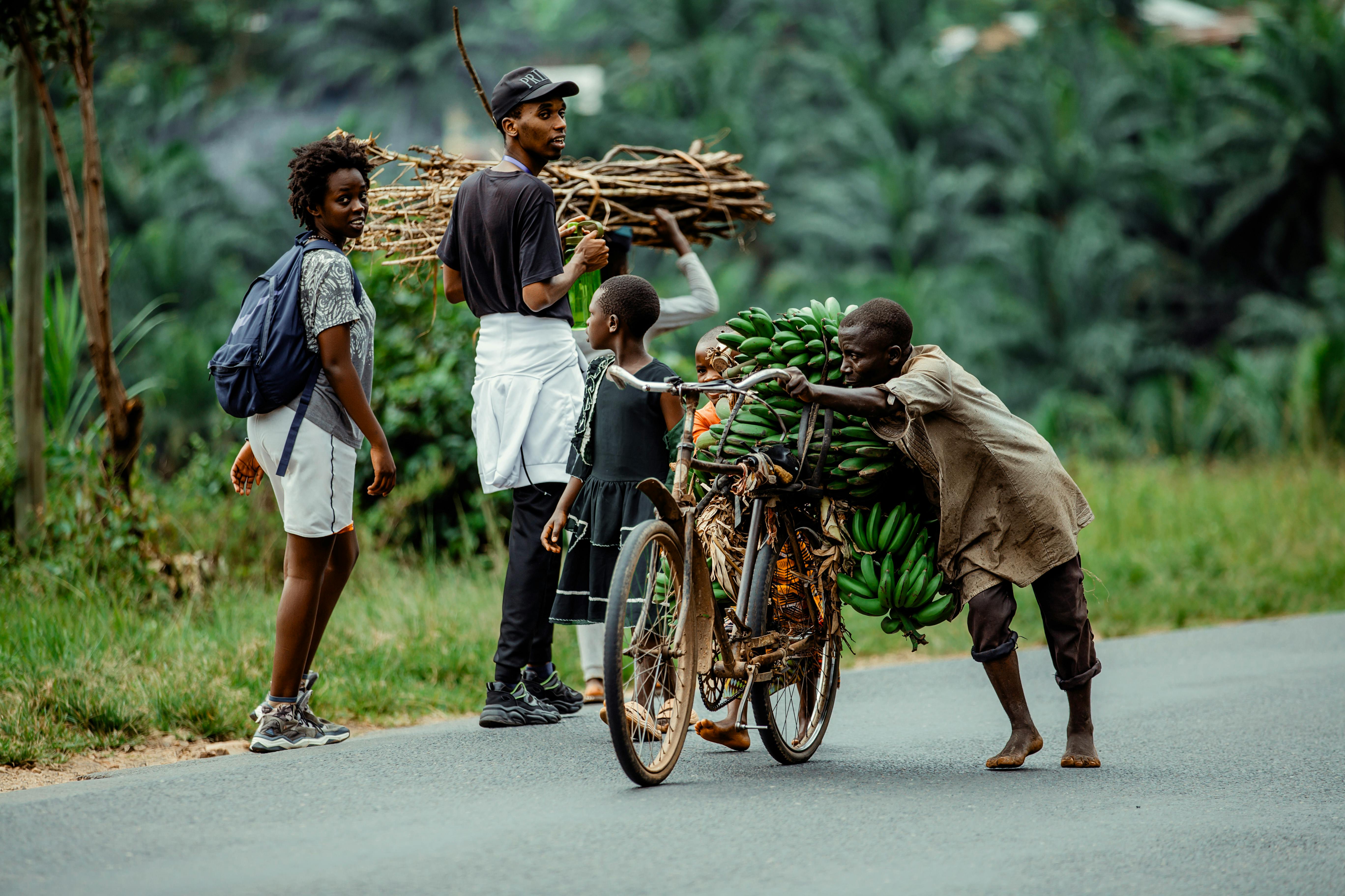 Health Financing