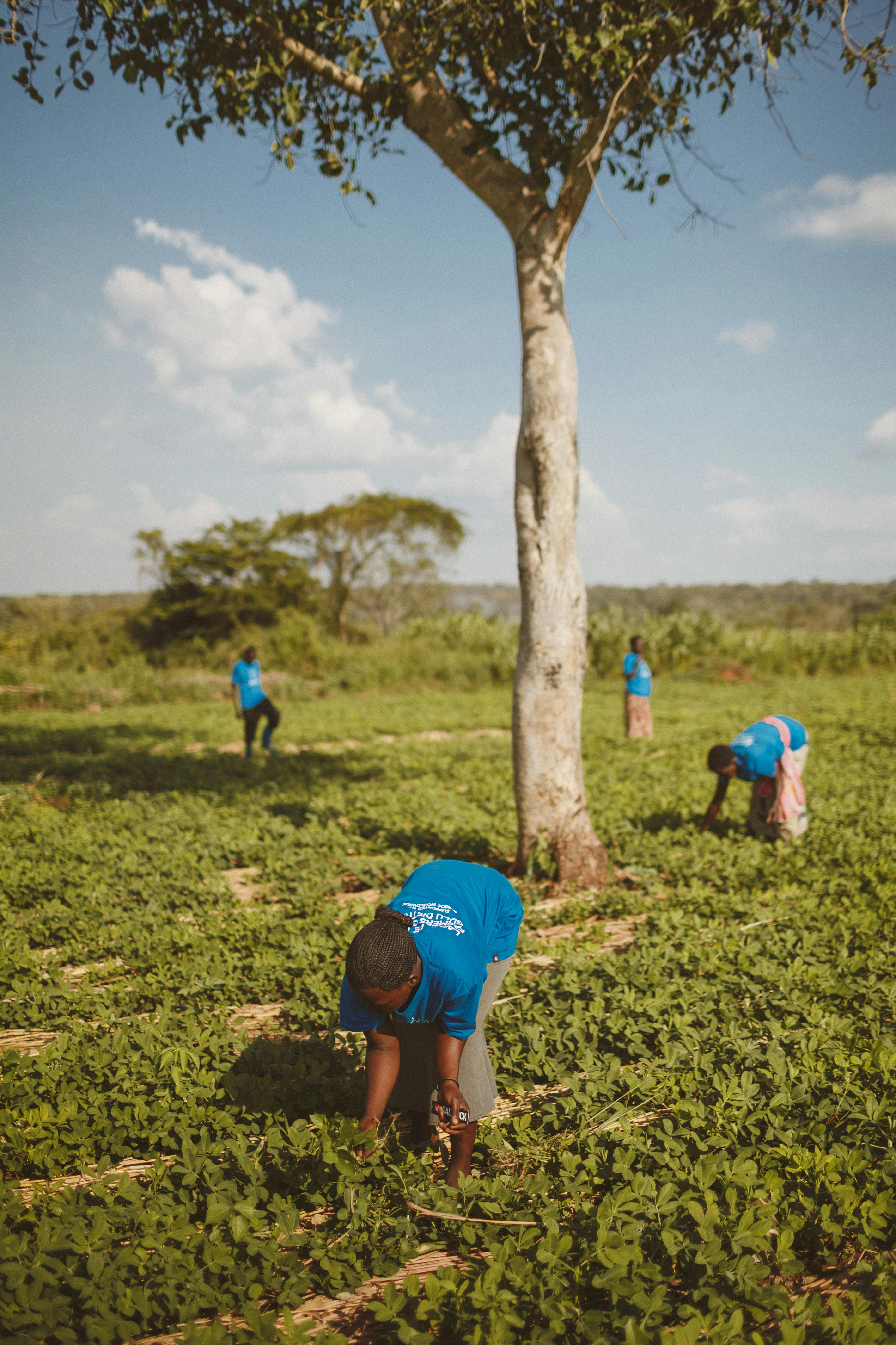 Rural community in Uganda